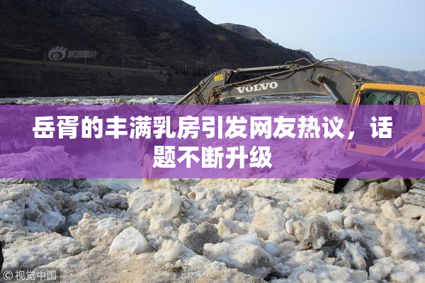 岳胥的丰满乳房引发网友热议，话题不断升级