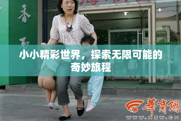 小小精彩世界，探索无限可能的奇妙旅程