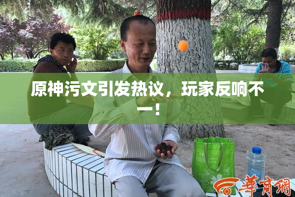 原神污文引发热议，玩家反响不一！