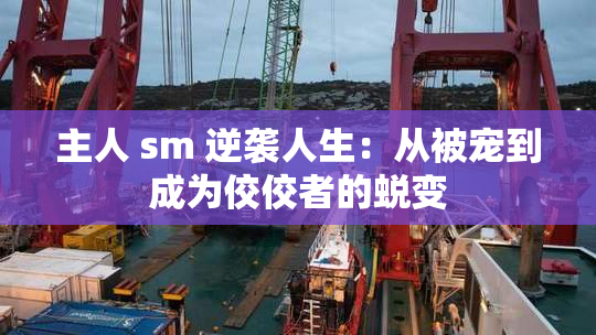主人 sm 逆袭人生：从被宠到成为佼佼者的蜕变