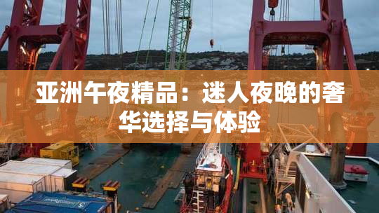亚洲午夜精品：迷人夜晚的奢华选择与体验