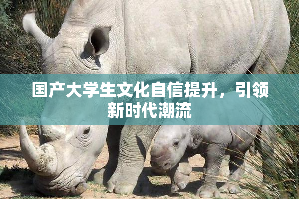 国产大学生文化自信提升，引领新时代潮流