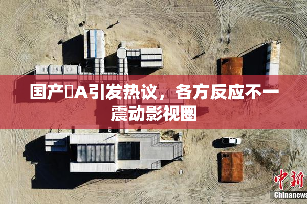 国产婬A引发热议，各方反应不一震动影视圈