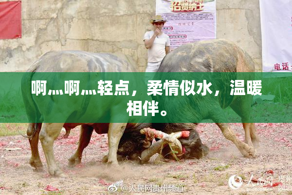 啊灬啊灬轻点，柔情似水，温暖相伴。