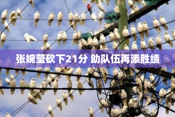 张婉莹砍下21分 助队伍再添胜绩