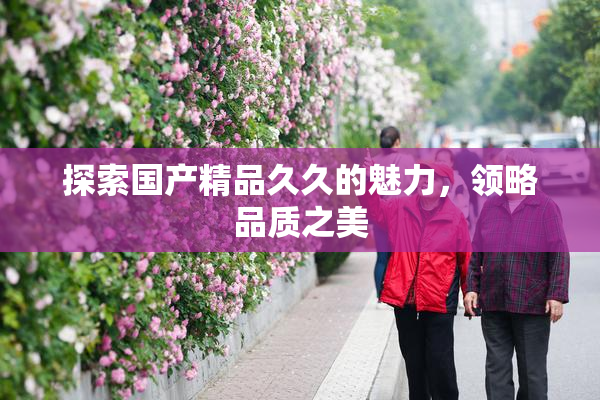 探索国产精品久久的魅力，领略品质之美