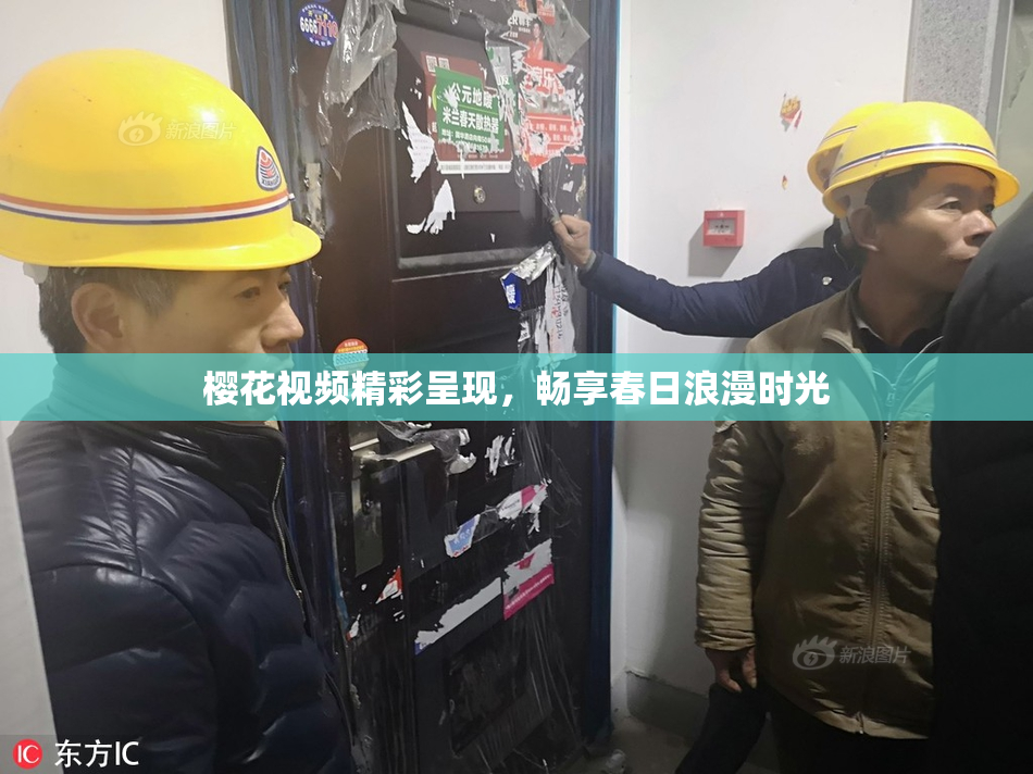 樱花视频精彩呈现，畅享春日浪漫时光