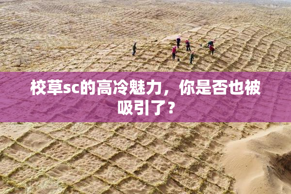 校草sc的高冷魅力，你是否也被吸引了？