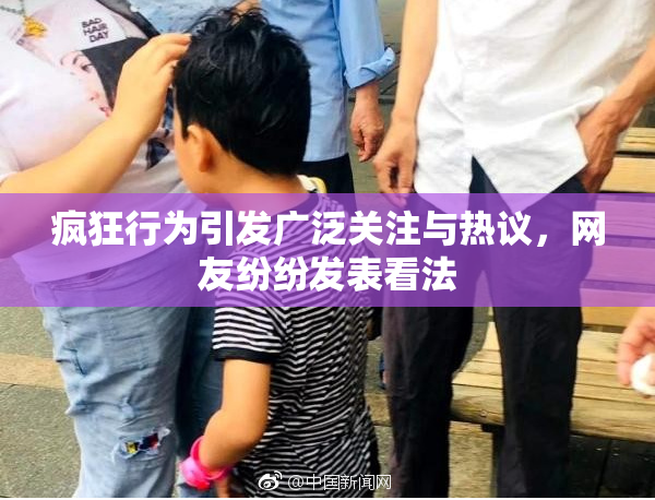 疯狂行为引发广泛关注与热议，网友纷纷发表看法