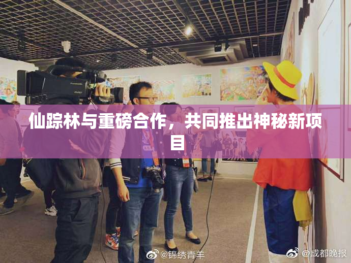 仙踪林与重磅合作，共同推出神秘新项目