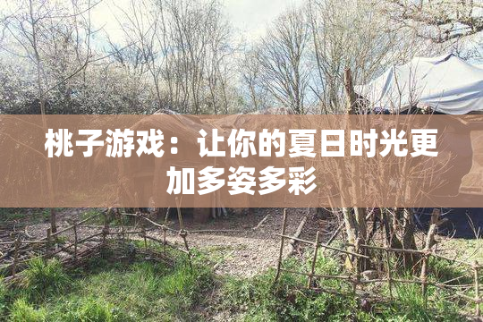 桃子游戏：让你的夏日时光更加多姿多彩