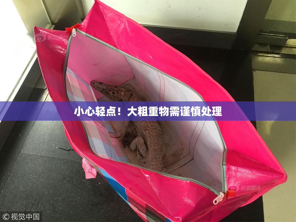 小心轻点！大粗重物需谨慎处理