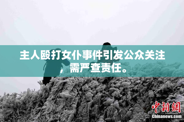 主人殴打女仆事件引发公众关注，需严查责任。