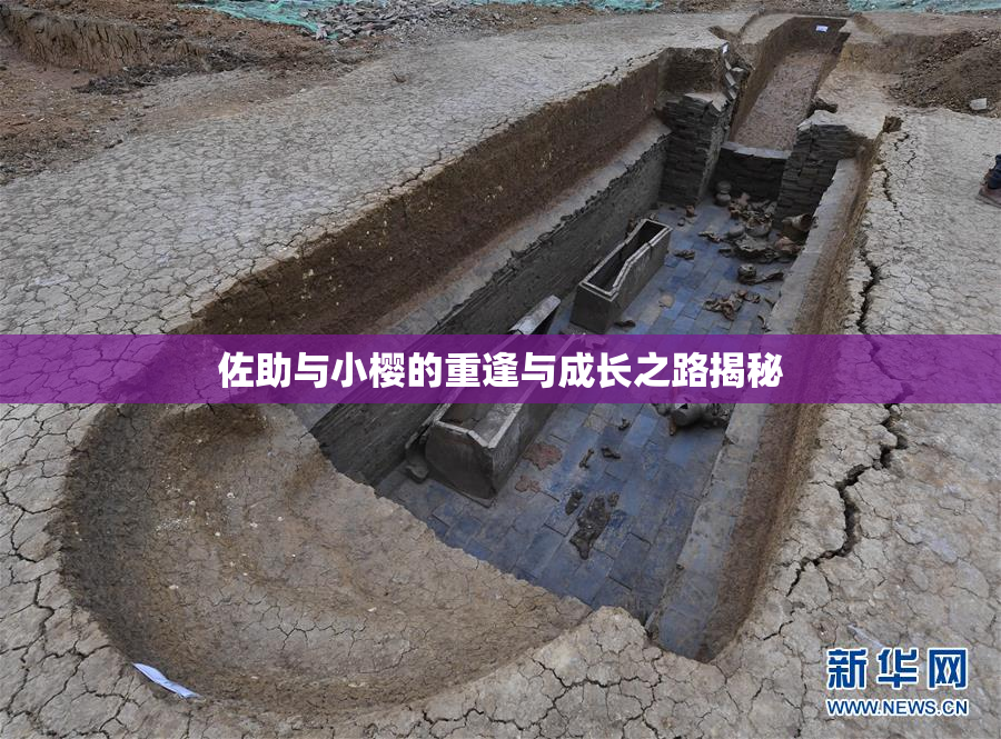 佐助与小樱的重逢与成长之路揭秘