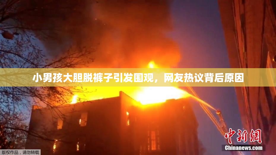 小男孩大胆脱裤子引发围观，网友热议背后原因