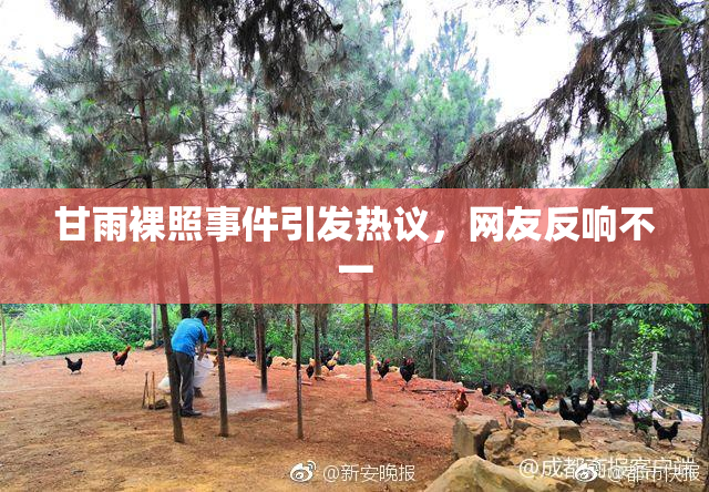 甘雨裸照事件引发热议，网友反响不一