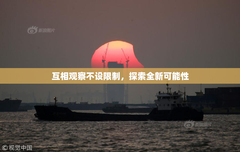 互相观察不设限制，探索全新可能性