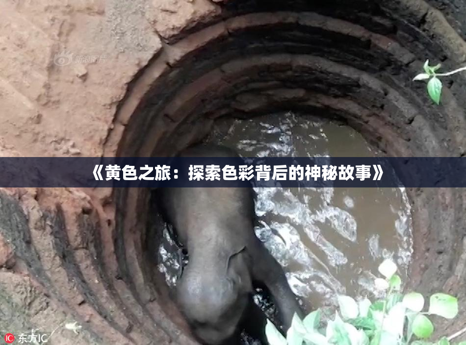 《黄色之旅：探索色彩背后的神秘故事》