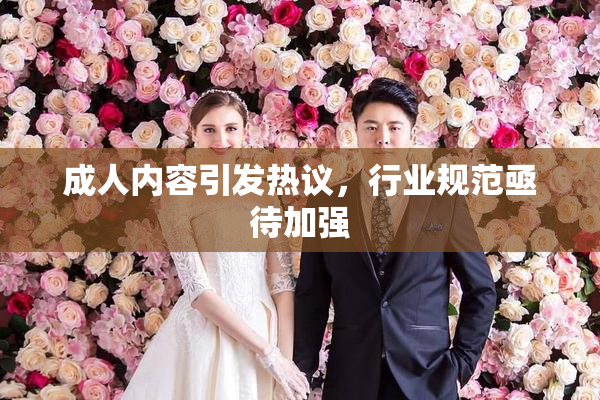 成人内容引发热议，行业规范亟待加强