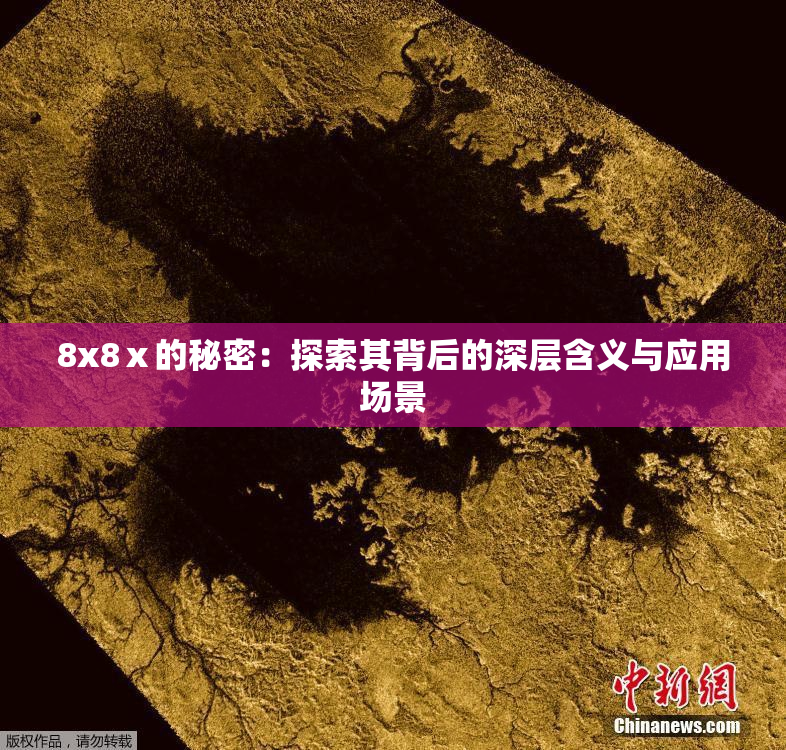 8x8ⅹ的秘密：探索其背后的深层含义与应用场景