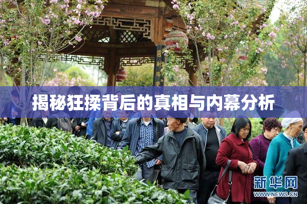 揭秘狂揉背后的真相与内幕分析