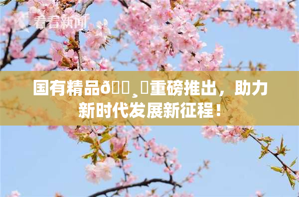 国有精品🌸‌重磅推出，助力新时代发展新征程！
