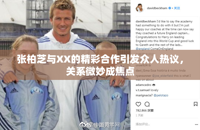 张柏芝与XX的精彩合作引发众人热议，关系微妙成焦点