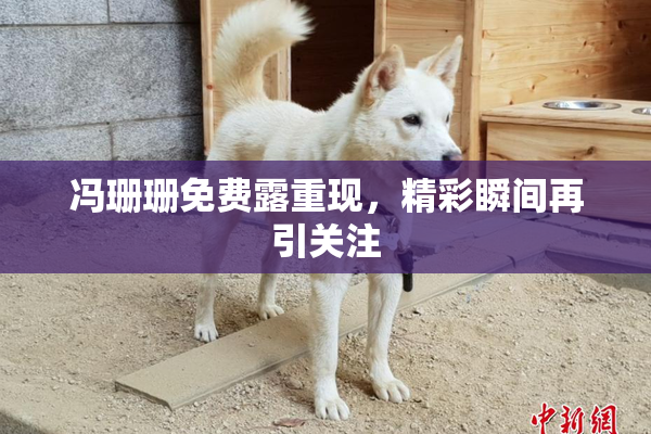 冯珊珊免费露重现，精彩瞬间再引关注