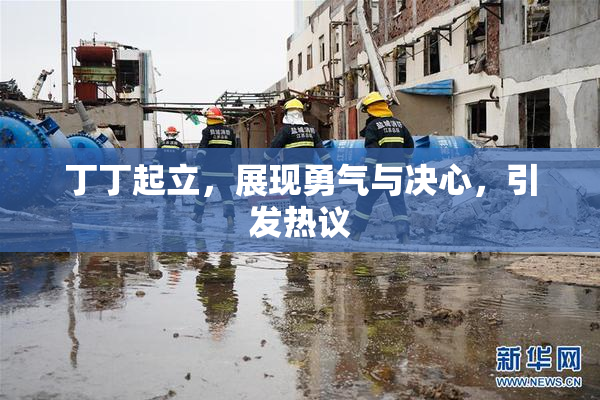 丁丁起立，展现勇气与决心，引发热议