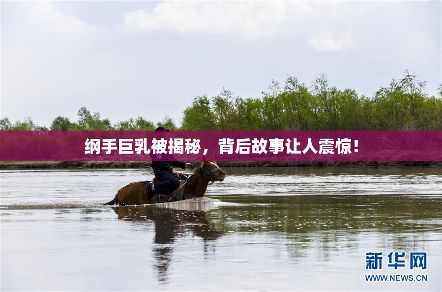 纲手巨乳被揭秘，背后故事让人震惊！