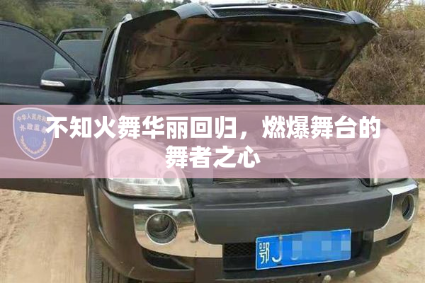 不知火舞华丽回归，燃爆舞台的舞者之心