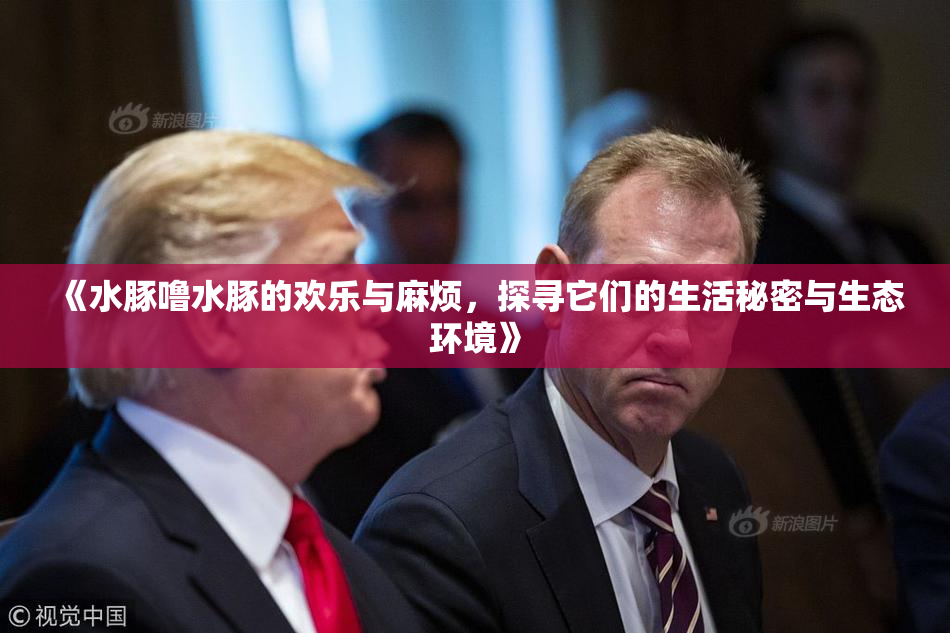 《水豚噜水豚的欢乐与麻烦，探寻它们的生活秘密与生态环境》