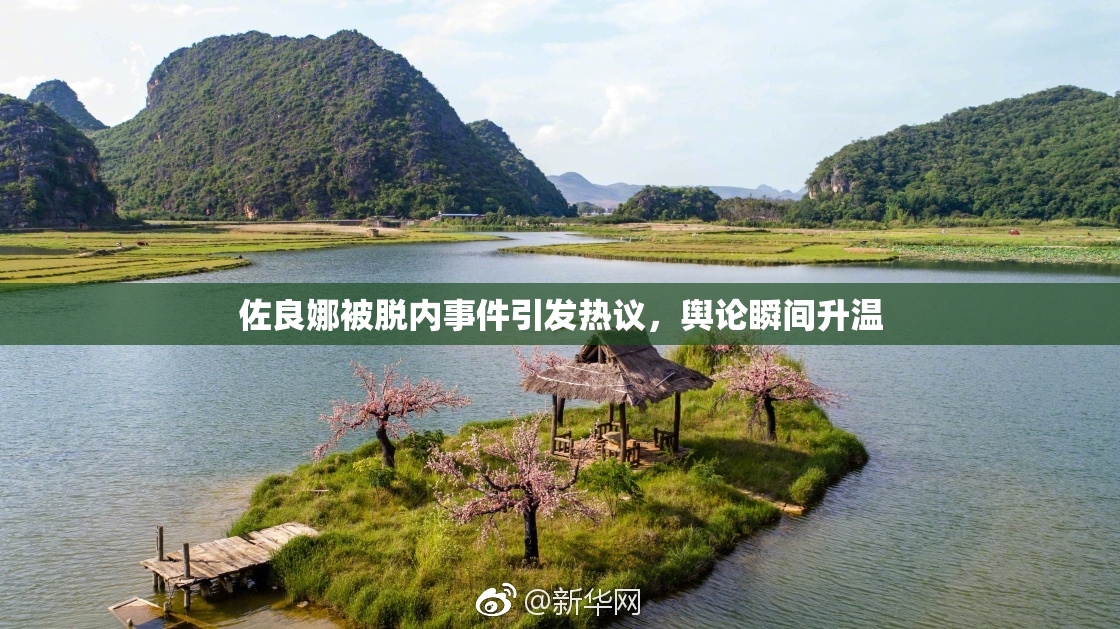 佐良娜被脱内事件引发热议，舆论瞬间升温