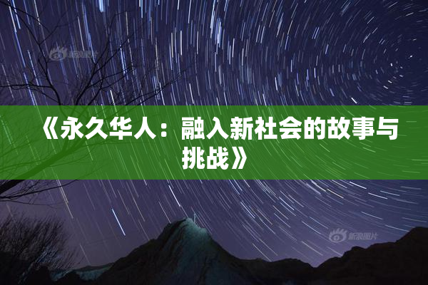 《永久华人：融入新社会的故事与挑战》
