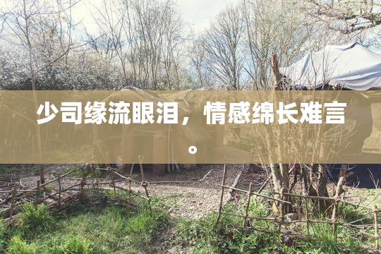 少司缘流眼泪，情感绵长难言。