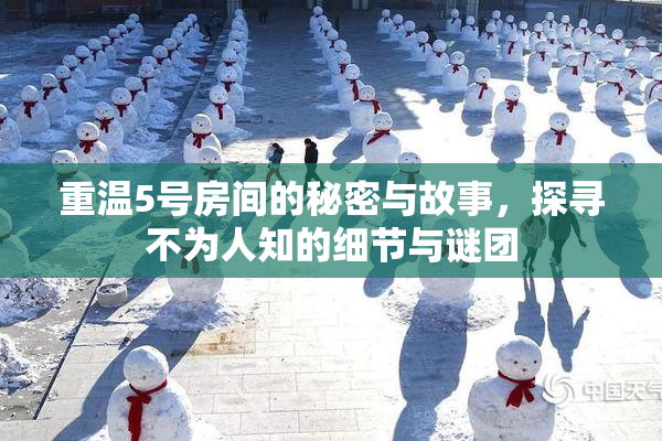 重温5号房间的秘密与故事，探寻不为人知的细节与谜团