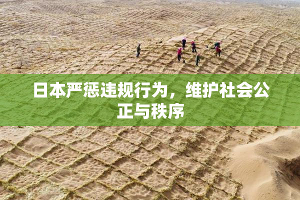 日本严惩违规行为，维护社会公正与秩序