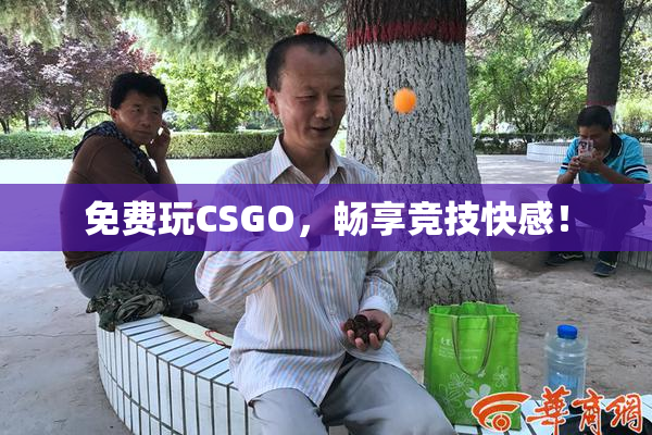 免费玩CSGO，畅享竞技快感！