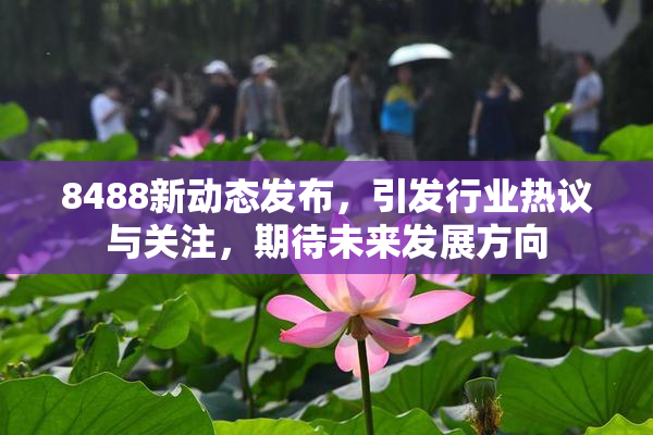 8488新动态发布，引发行业热议与关注，期待未来发展方向