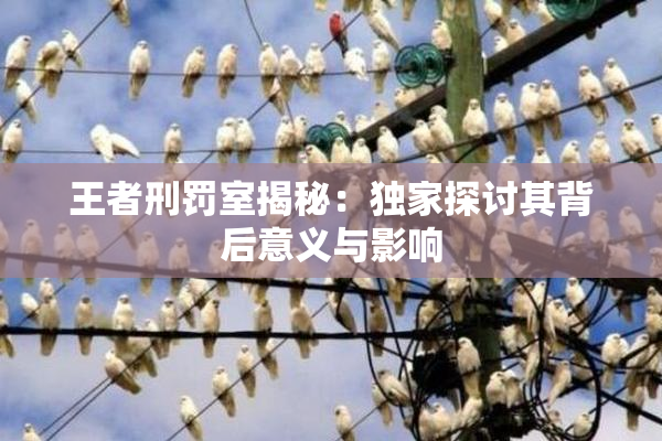 王者刑罚室揭秘：独家探讨其背后意义与影响