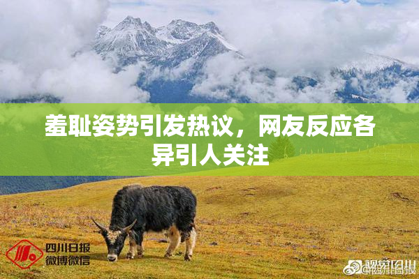 羞耻姿势引发热议，网友反应各异引人关注