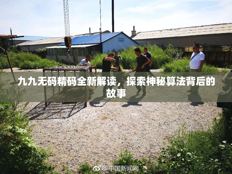 九九无码精码全新解读，探索神秘算法背后的故事