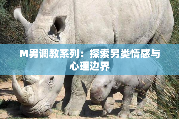 M男调教系列：探索另类情感与心理边界