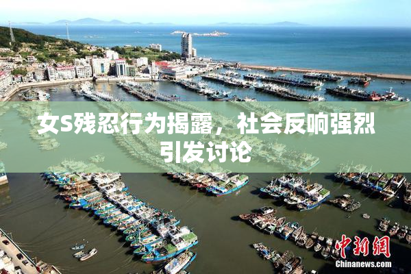 女S残忍行为揭露，社会反响强烈引发讨论