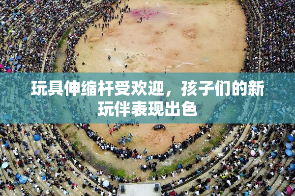 玩具伸缩杆受欢迎，孩子们的新玩伴表现出色
