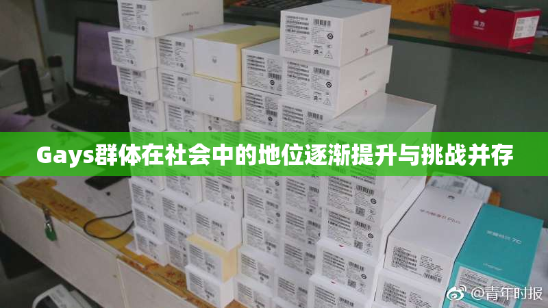 Gays群体在社会中的地位逐渐提升与挑战并存