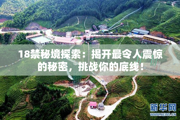18禁秘境探索：揭开最令人震惊的秘密，挑战你的底线！