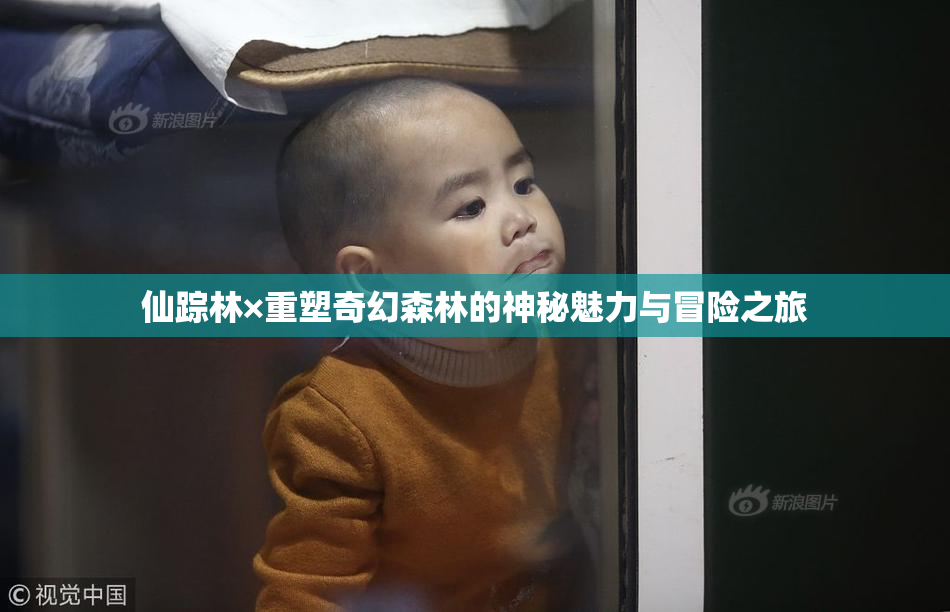 仙踪林×重塑奇幻森林的神秘魅力与冒险之旅