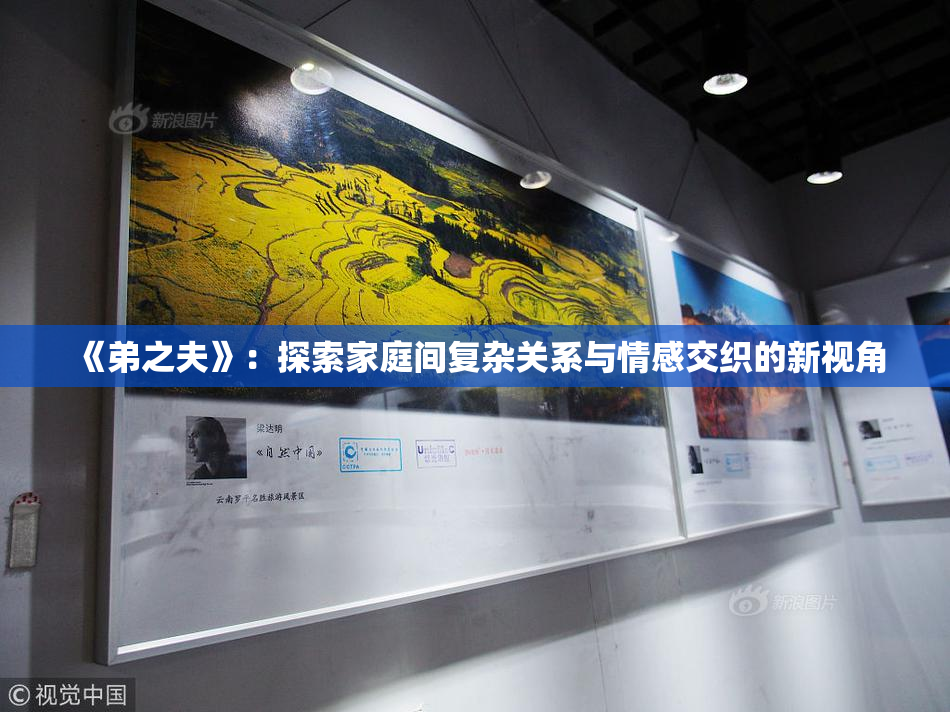 《弟之夫》：探索家庭间复杂关系与情感交织的新视角