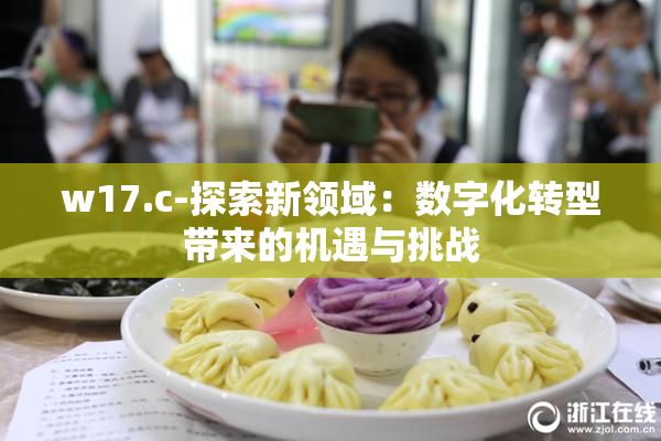 w17.c-探索新领域：数字化转型带来的机遇与挑战